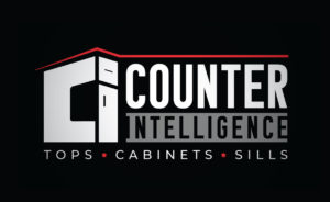 Logo Services by Hatcher Digital for Counter Intelligence Logo Design by Hatcher Digital Bemidji Minnesota